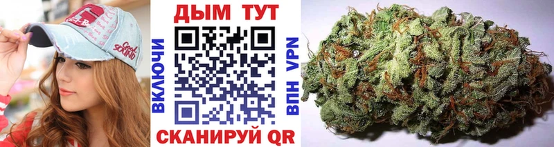 Купить закладки  Пущино  Бошки Шишки Bruce Banner 